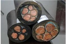 全国推广阻燃电线电缆技术与应用