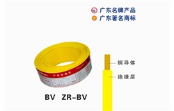 60227 IEC 01（BV）wanbo.com电缆