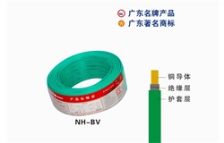 NH-BVwanbo.com电缆