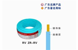 RV ZR-RVwanbo.com电缆