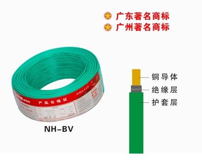 NH-BV.jpg