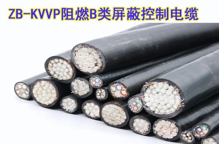 ZB-KVVP 屏蔽.jpg